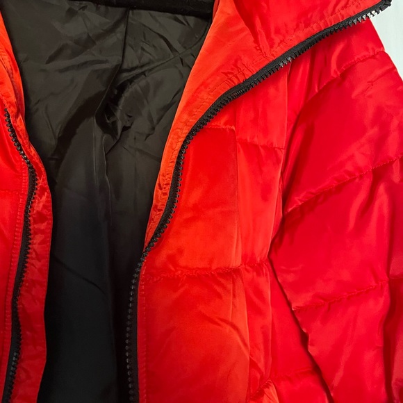 Puffer Jacket - Picture 4 of 8